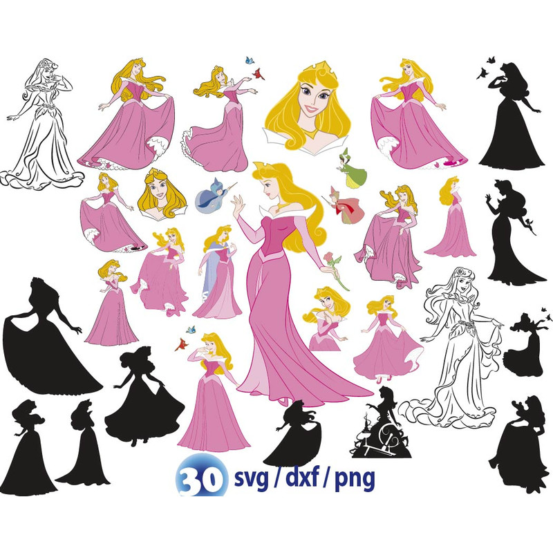 Princess Aurora ZIBCLI-01.jpg