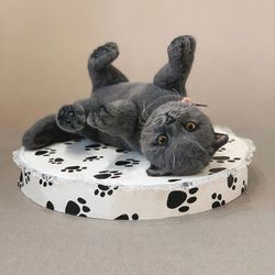 Gray kitten. Collectible realistic cat toy.