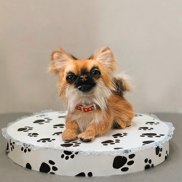 https://www.inspireuplift.com/resizer/?image=https://cdn.inspireuplift.com/uploads/images/seller_products/1681732261_chihuahua_toy_handmade_collectible_realistic.jpg&width=600&height=600&quality=90&format=auto&fit=pad