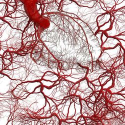vein map 21 seamless tileable repeating pattern