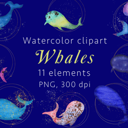 whales watercolor clipart, png
