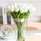 droopfreemulticolorrealtouchtulipflowerssetwhite.png