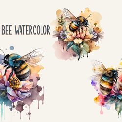 floral bee watercolor, animal png
