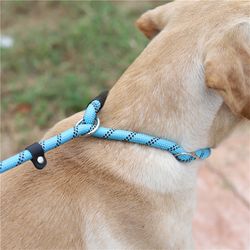 Slip Lead Control Leash for Dogs No Pull