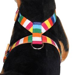 Colorful Leather Pet Dog Harness