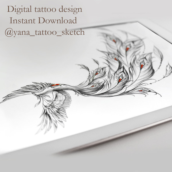 phoenix-tattoo-design-phoenix-tattoo-sketch-female-phoenix-tattoo-ideas-for-woman-5.jpg