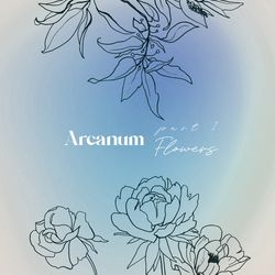 botanical line art, continuous line art, floral line drawing, simple line art, botanical clip art, peony bouquet