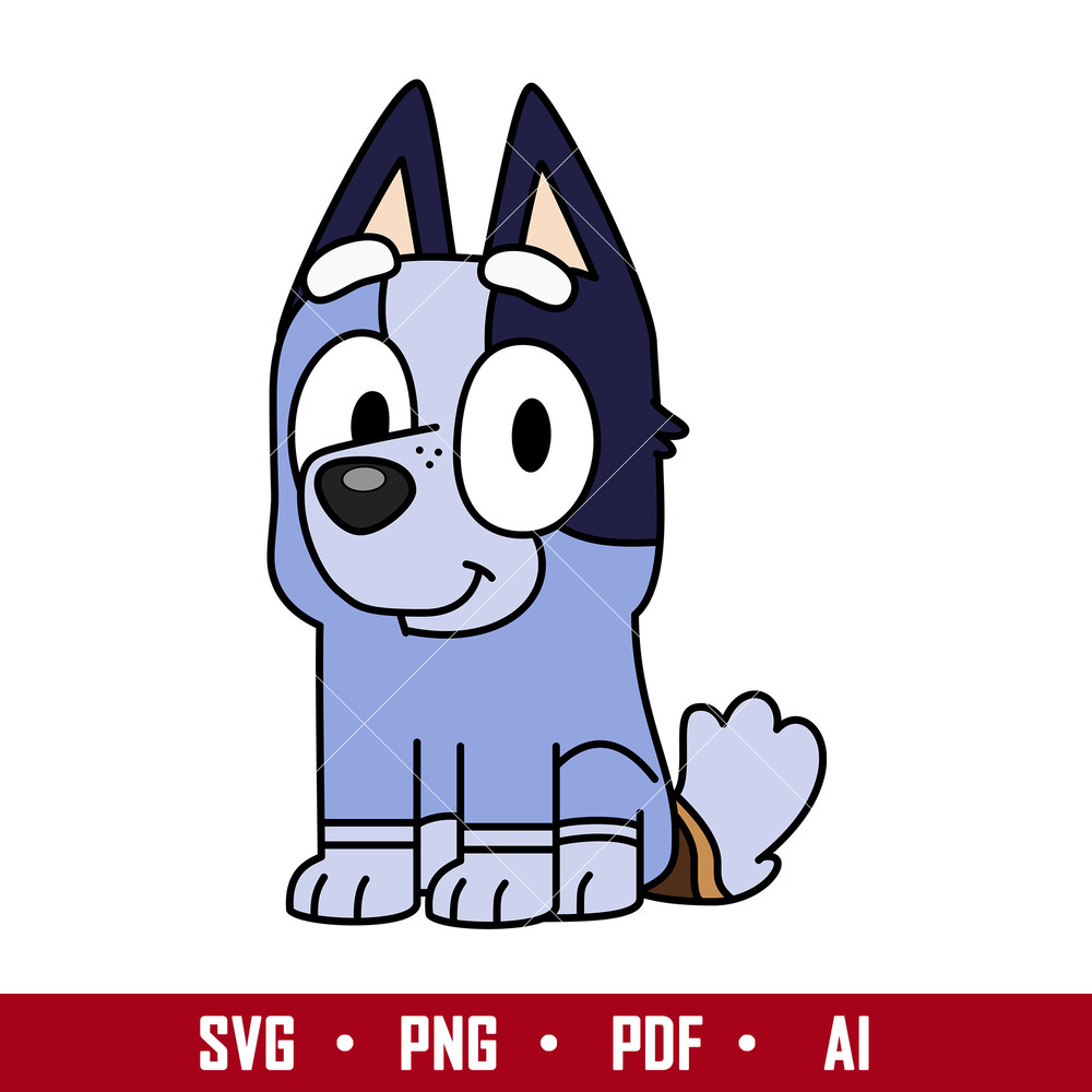 1-Socks.jpeg