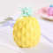 Pineapple Squishy (6).jpg
