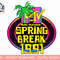 MTV Spring Break 1991 Classic Logo T-Shirt copy.jpg