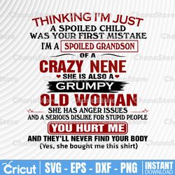 thinking i am just a spoiled child was your first mistake i'm a spoiled grandson of a crazy nene svg, dxf,eps,png