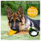 Mango Shape Dental Care Tough Dog Chew Toys (4).jpg