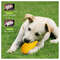Mango Shape Dental Care Tough Dog Chew Toys (6).jpg