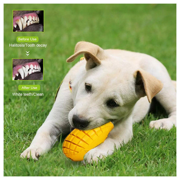 Mango Shape Dental Care Tough Dog Chew Toys (6).jpg