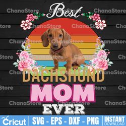 best dog mom ever dachshund floral retro lover mother png, best mother day png, floral retro lover, mother day
