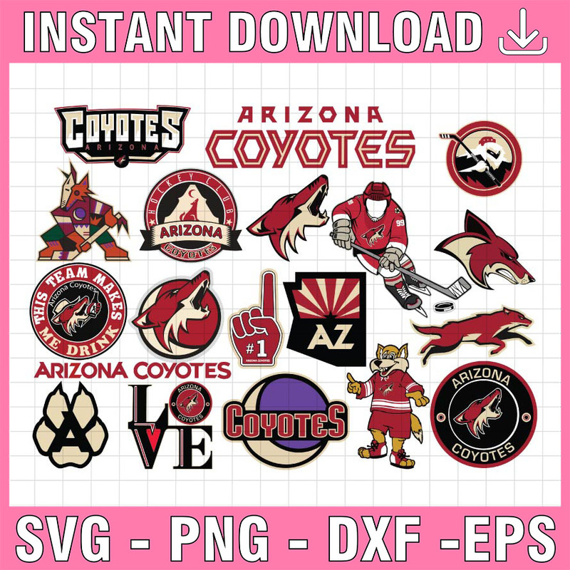 CV_NHLN1002.jpg