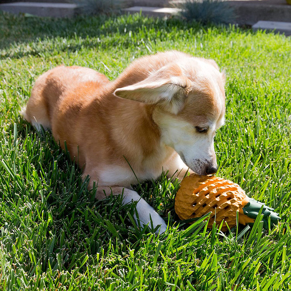 Pineapple Shape Teeth Cleaning Dog Treat Toys (1).jpg