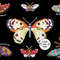 Vintage Cross Stitch Scheme  Butterflies