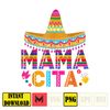 Cinco de Mayo Png, Fiesta Squad Png, Funny Mexican png, Sombrero Png, Cinco de Mayo PNG, Happy Cinco de mayo, Let's Fiesta, digital download (18).jpg