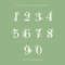 Floral_Numbers_preview-2.jpg