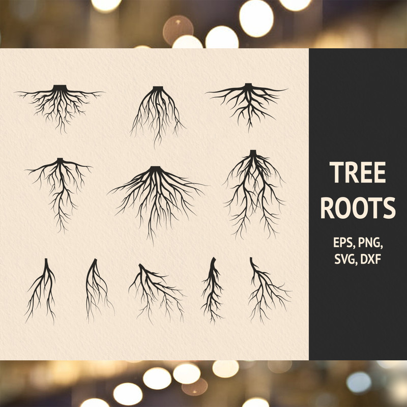 11 Hand Drawn Tree Roots.jpg
