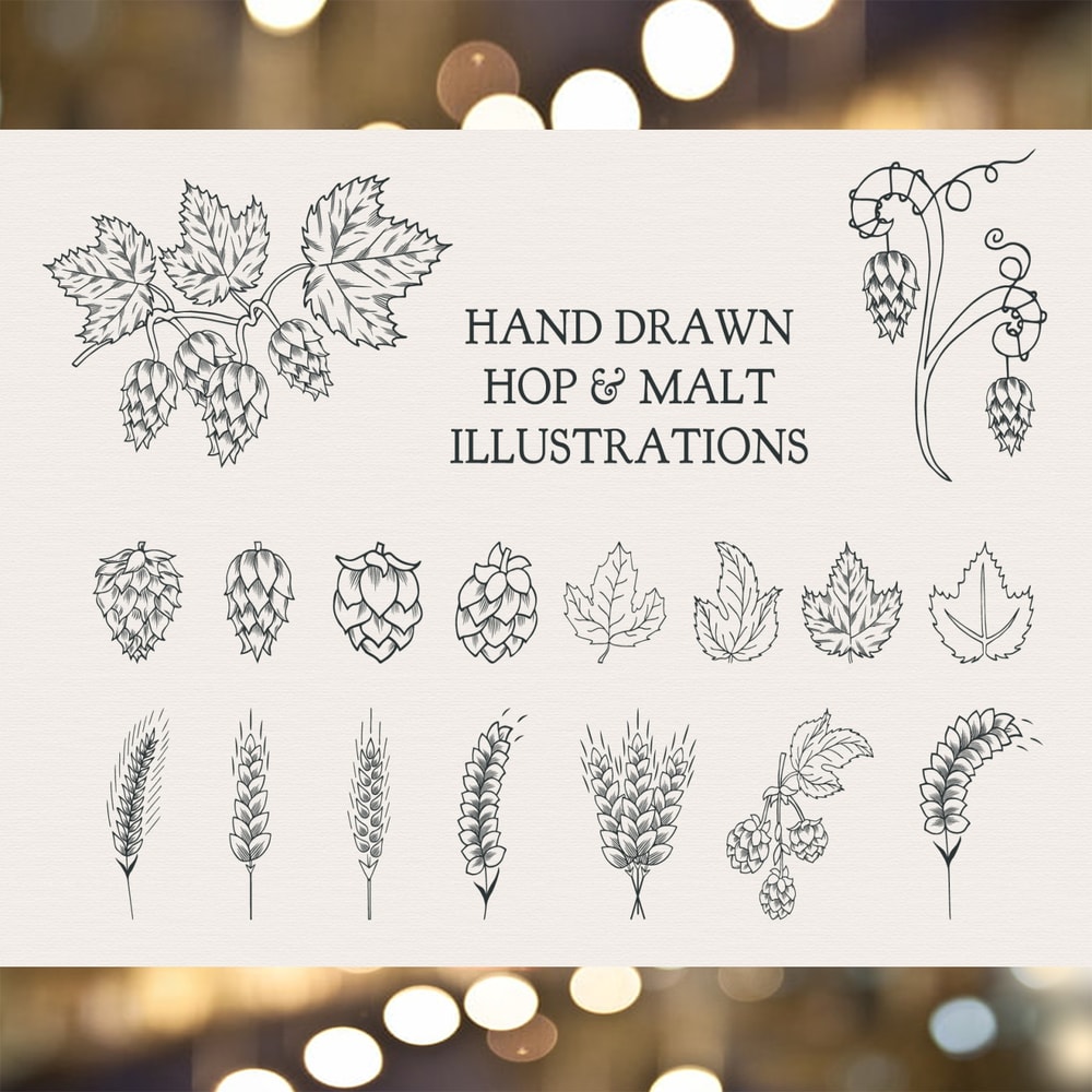 Beer Designs Collection_ 1.jpg