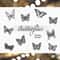 Butterfly Silhouettes Collection.jpg