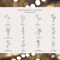Hand Drawn Birth Month Flower Collection.jpg