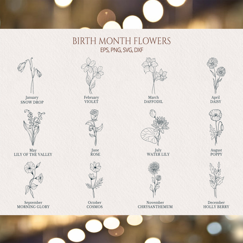 Hand Drawn Birth Month Flower Collection.jpg