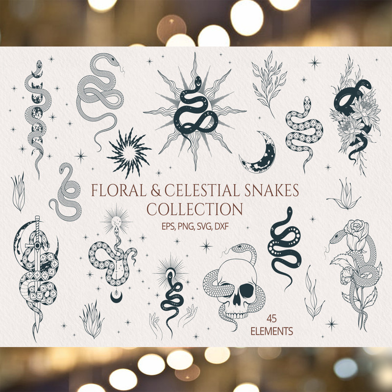 Hand Drawn Floral & Celestial Snake Set.jpg