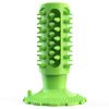 Standing Cactus Suction Cup Squeaky Dog Chew Toys  (1).jpg