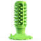 Standing Cactus Suction Cup Squeaky Dog Chew Toys  (1).jpg