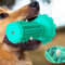 Standing Cactus Suction Cup Squeaky Dog Chew Toys  (2).jpg