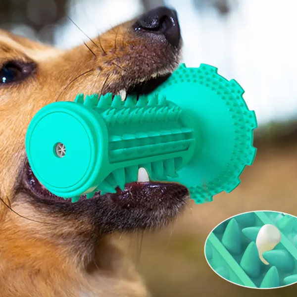 Standing Cactus Suction Cup Squeaky Dog Chew Toys  (2).jpg