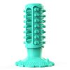 Standing Cactus Suction Cup Squeaky Dog Chew Toys  (4).jpg