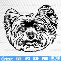 yorkshire terrier svg, dog svg files cricut, cute yorkie face clipart, vector image peeking, download printable art png,