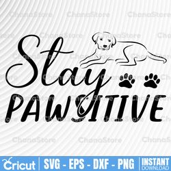 stay pawsitive svg | dog paw svg | paw svg | positive svg | paw sitive svg | dog cut file | dog quote svg