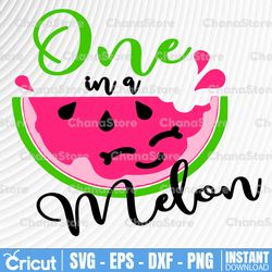 one in a melon svg, funny watermelon, summer beach fruit svg, birthday party cutting file, silhouette cricut vinyl iron