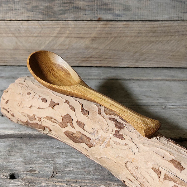 spoon-carving-for-beginners.jpg