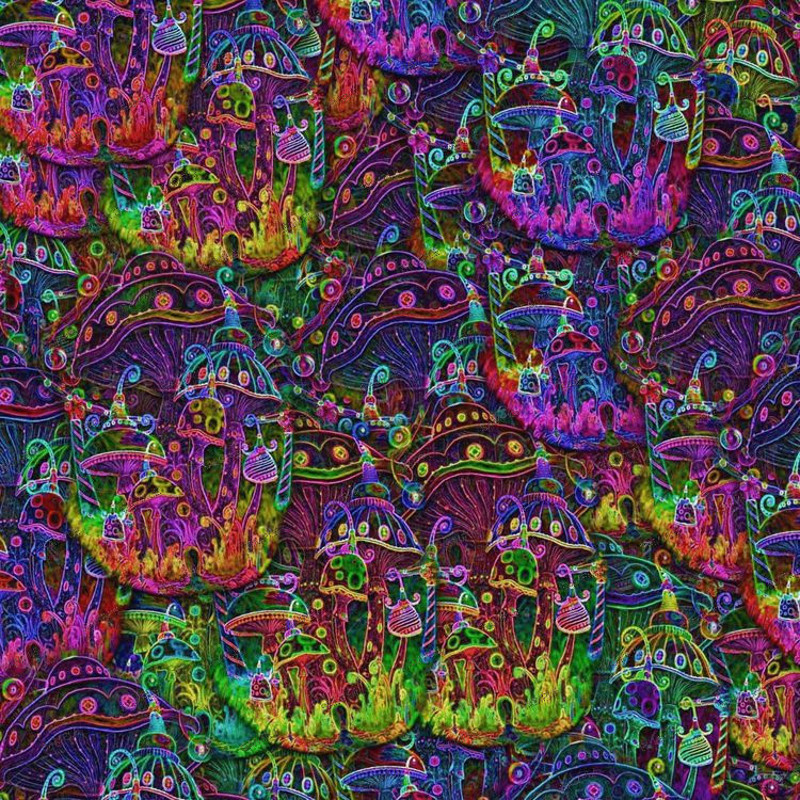 Magic Mushroom 32.jpg