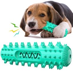Dog Molar Dental Care Teeth Cleaning Squeaky Chew Toys - Assorted Set of 1
