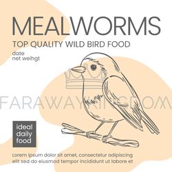MEALWORMS FOR BIRDS Food Packaging Design Vector Sketch