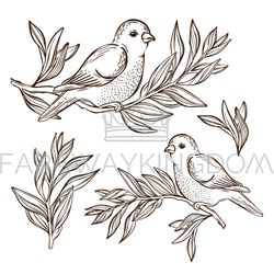 NIGHTINGALE ON TEA BRANCH Songbird Vector Illustration Set