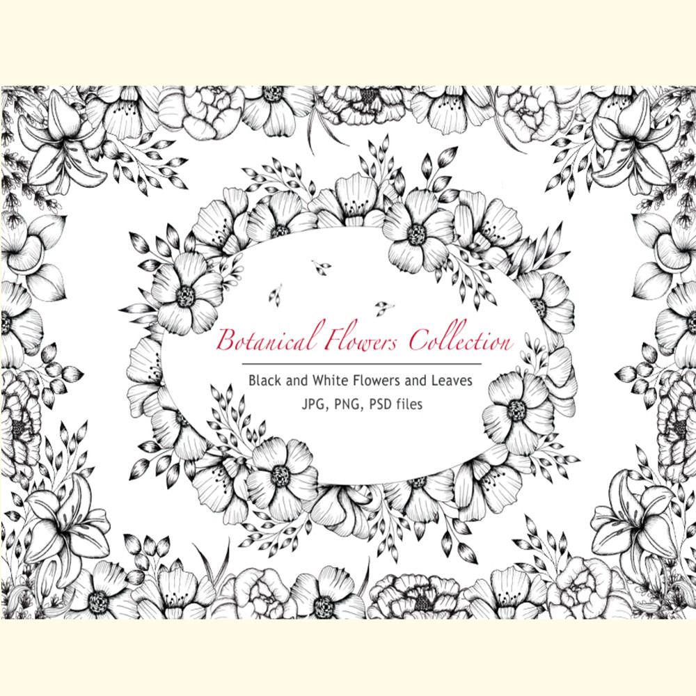 Black and White Botanical Collection.jpg