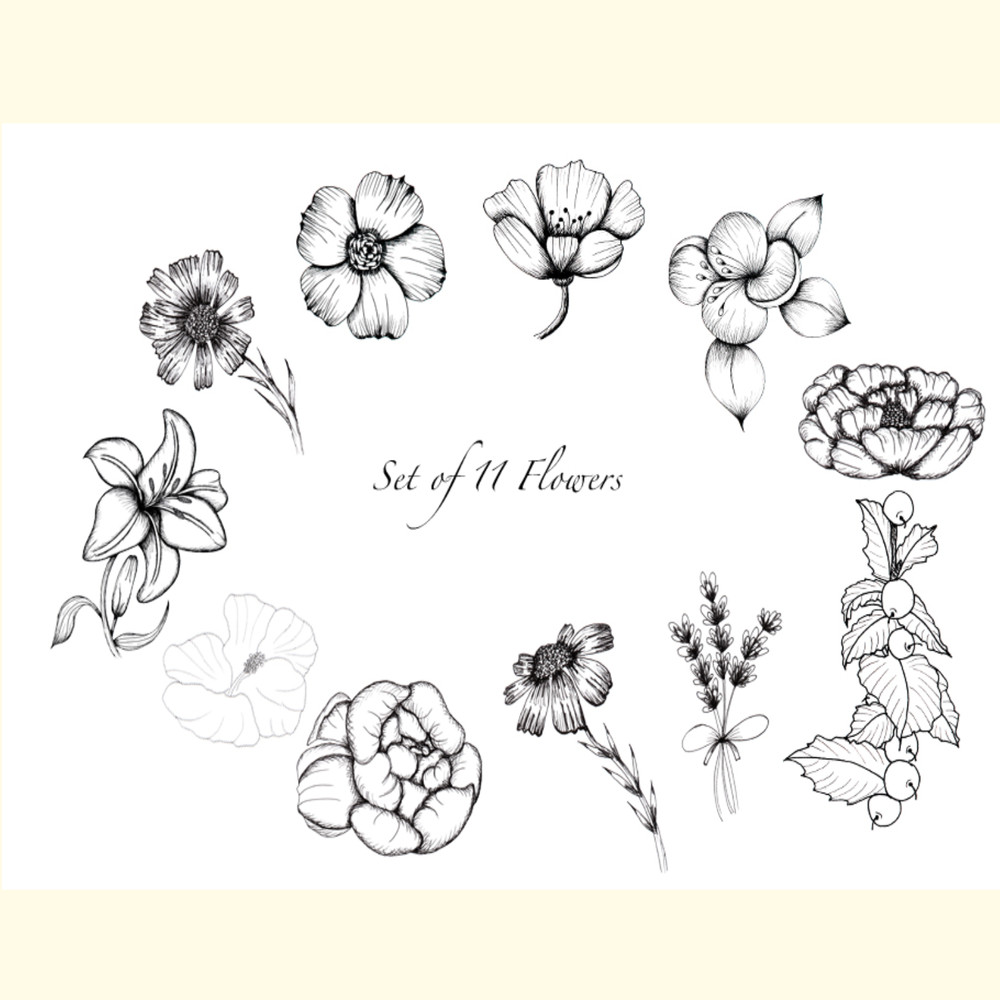 Black and White Botanical Collection_ 0.jpg