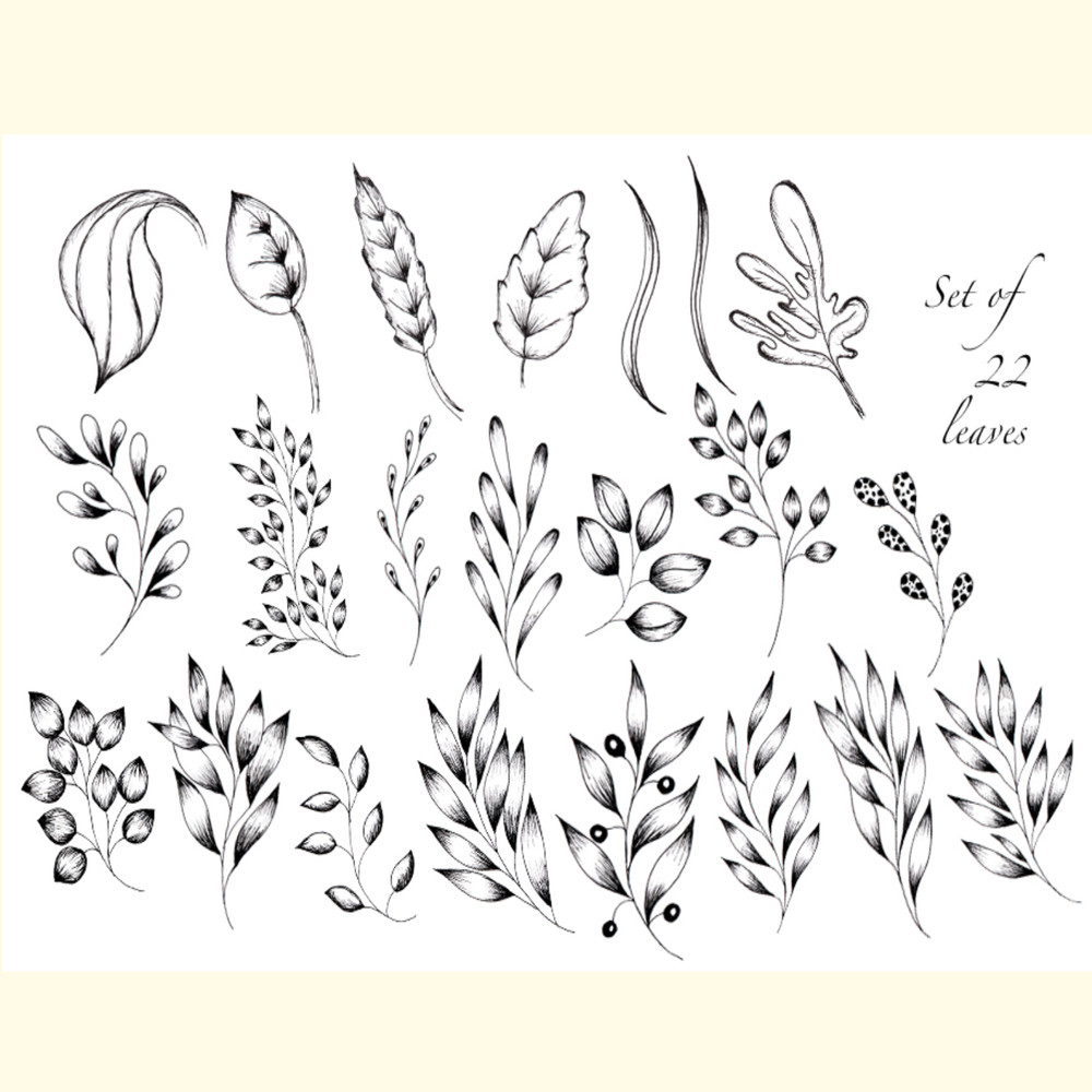 Black and White Botanical Collection_ 1.jpg