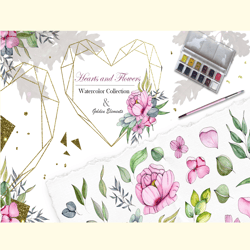 hearts and flowers watercolor collection