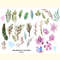 Snow Leopard Watercolor Set_ 5.jpg