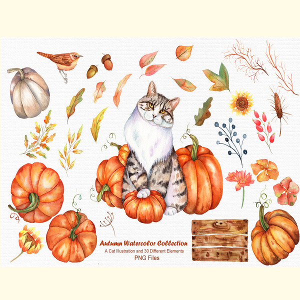 Watercolor Autumn Cat Collection_ 1.jpg