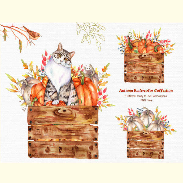 Watercolor Autumn Cat Collection_ 3.jpg